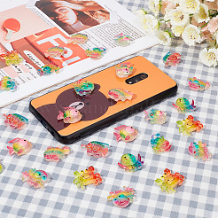 Кабошоны радуги смолы CRES-SC0001-63