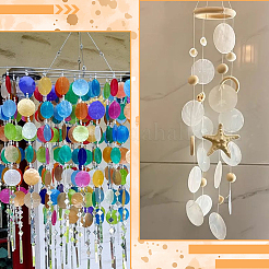 42 шт. 7-х цветные подвески из натуральной ракушки капиз&nbsp;BSHE-SC0001-30