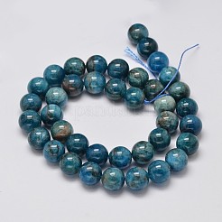 Природные апатитовых нити круглые шарик G-M304-14-10mm