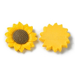 Непрозрачные кабошоны из смолы RESI-H146-02B