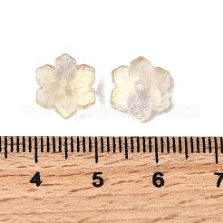 Стеклянные бусины GLAA-D303-04J