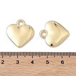 Подвески из сплава &nbsp;PALLOY-A025-02G