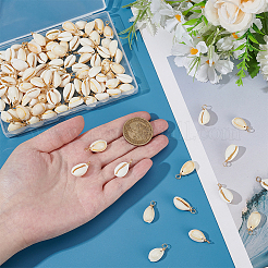 120 шт. подвески из натуральной ракушки каури PALLOY-ME00017