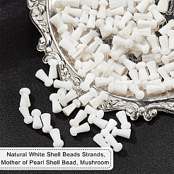 4 нить бусин из натуральных пресноводных ракушек&nbsp;SHEL-NB0001-52