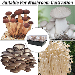 Хлопчатобумажные принадлежности для посадки фильтрующая прокладка для грибов&nbsp;AJEW-WH20019-92