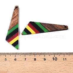 Подвески из ямайской цветной эпоксидной смолы и орехового дерева RESI-N039-122I