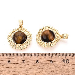 Природных тигровый глаз подвески&nbsp;KK-N287-04G