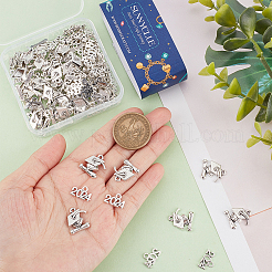 100 шт. 2 стиля подвески из сплава в тибетском стиле&nbsp;TIBE-SC0001-88