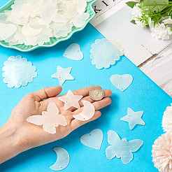 50 шт. 5 стиля кабошонов из натуральной ракушки с кружевной кромкой&nbsp;SHEL-TA0001-17