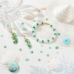 150шт натуральные пресноводные бусины из ракушек SHEL-AR0001-09