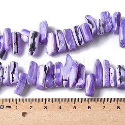 Окрашенные нити натуральных бусин-ракушек трохуса SSHEL-C013-09N