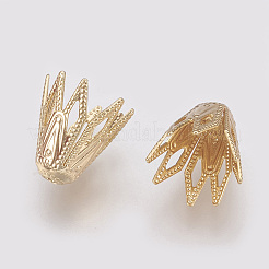 Шапочки и конусы для бусин&nbsp;X-KK-T014-17G