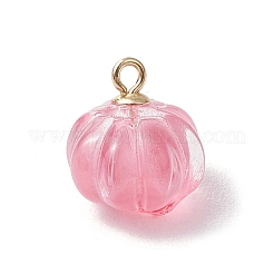 Прозрачные стеклянные подвески с распылителем краски PALLOY-JF03496-01