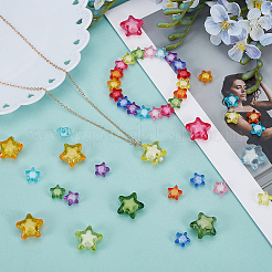 250шт 2 стиля прозрачные акриловые бусины&nbsp;TACR-SP0001-37