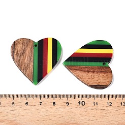 Подвески из ямайской цветной эпоксидной смолы и орехового дерева&nbsp;RESI-N039-122V