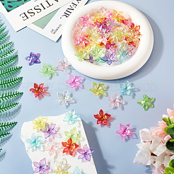 80шт 8 цвета акриловые колпачки для бусин&nbsp;MACR-TA0002-01