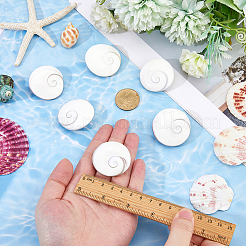 6 шт. натуральный кабошон из ракушки глаза шивы&nbsp;BSHE-FH0001-04