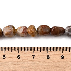 Природные окаменелое дерево бисер пряди G-L621-C11-01