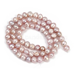 Нити из натурального культивированного пресноводного жемчуга PEAR-P064-19E-04B