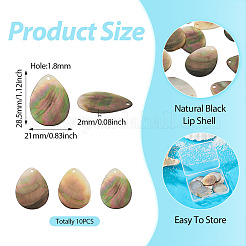 10 шт. подвески-ракушки из натуральной черной губной помады SHEL-TA0001-21
