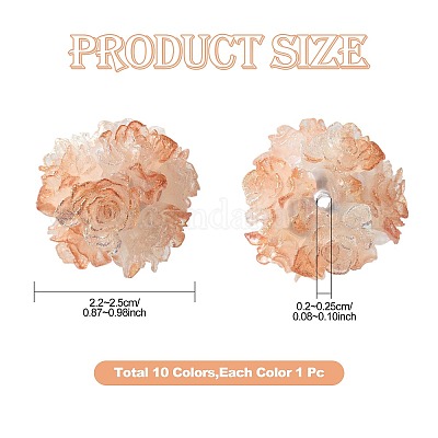 10шт 10 цвета бусины из смолы RESI-FS0002-24B-1