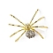 Natural Pyrite & Alloy Spider Display Decorations, Halloween Ornaments Mineral Specimens, Golden, 45x55mm