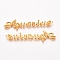 Golden Plated Alloy Cabochons, Twelve Constellations, Aquarius, 10x44x1.5mm