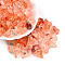 Transparent Acrylic Beads, Nuggets, Two Tone, Coral, 11~21x7~12x6~8mm, Hole: 2mm, about 769pcs/500g