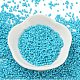Выпечка краска стеклянные бусины SEED-S042-05B-58-2