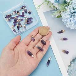 32 шт. подвески из натурального аметиста 2 цветов PALLOY-HY0001-05