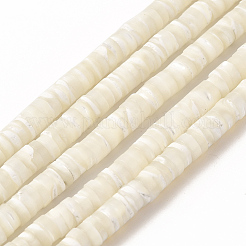 Нити бусин из натуральных трохоидных/трохус ракушек SHEL-P015-12