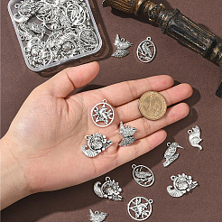 48шт 6 стиля подвески из сплава в тибетском стиле&nbsp;FIND-SC0019-41