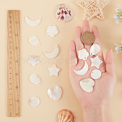 Природные подвески оболочки пресноводных&nbsp;SHEL-SC0001-07