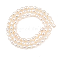 Нити из натурального культивированного пресноводного жемчуга&nbsp;PEAR-F020-10