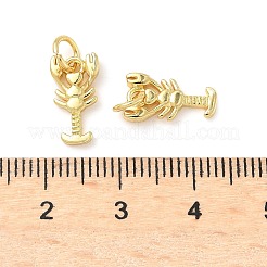 Латунные подвески&nbsp;KK-I355-10G