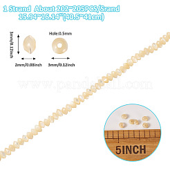 1 нить натуральных бусин-рондель из ракушек-троху SSHEL-TA0001-16B