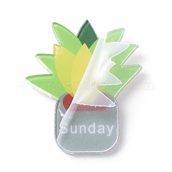 Магниты на холодильник акриловые украшения&nbsp;AJEW-X0009-04