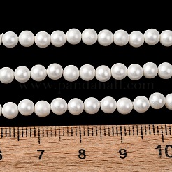 Круглые жемчуги из порошка раковины&nbsp;BSHE-L011-4mm-A013A