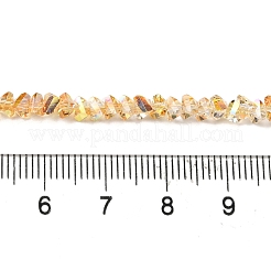 Прозрачные стеклянные бусины&nbsp;EGLA-P061-04A-HP02