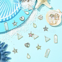 5 шт. подвески из натуральной ракушки пауа/ракушки абалона&nbsp;FIND-YW0008-61