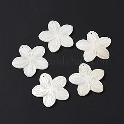 Природные подвески оболочки пресноводных SSHEL-C011-04