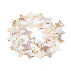 Нити бусин из натуральных пресноводных раковин с гальваническим покрытием&nbsp;SHEL-N038-28