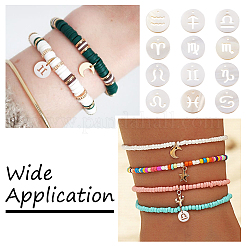 24 шт. 12 стиля природных пресноводных ракушек SHEL-KS0001-04