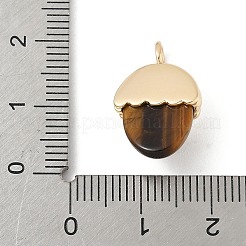 Природных тигровый глаз подвески&nbsp;X-KK-Z107-02G-02