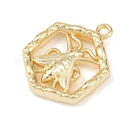 Латунные подвески&nbsp;KK-G545-15G