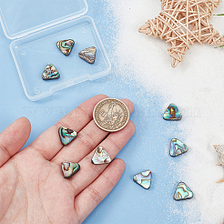 10 шт. бусины из натуральной ракушки абалон/ракушки пауа SSHEL-BC0001-29