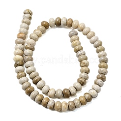 Природные окаменелые коралловые бусы пряди&nbsp;G-A280-A08-02