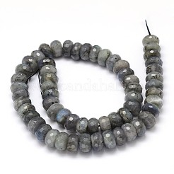 Натуральные лабрадоритные жгуты из бисера G-O095-05-G