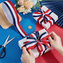 Полиэстер Grosgrain ленты&nbsp;OCOR-WH0111-07A