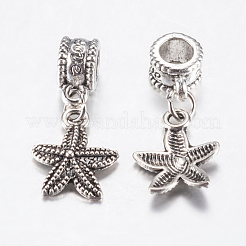 Европейские подвески из сплава в тибетском стиле PALLOY-F199-42AS